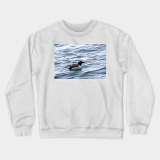 Razorbill out at sea Crewneck Sweatshirt